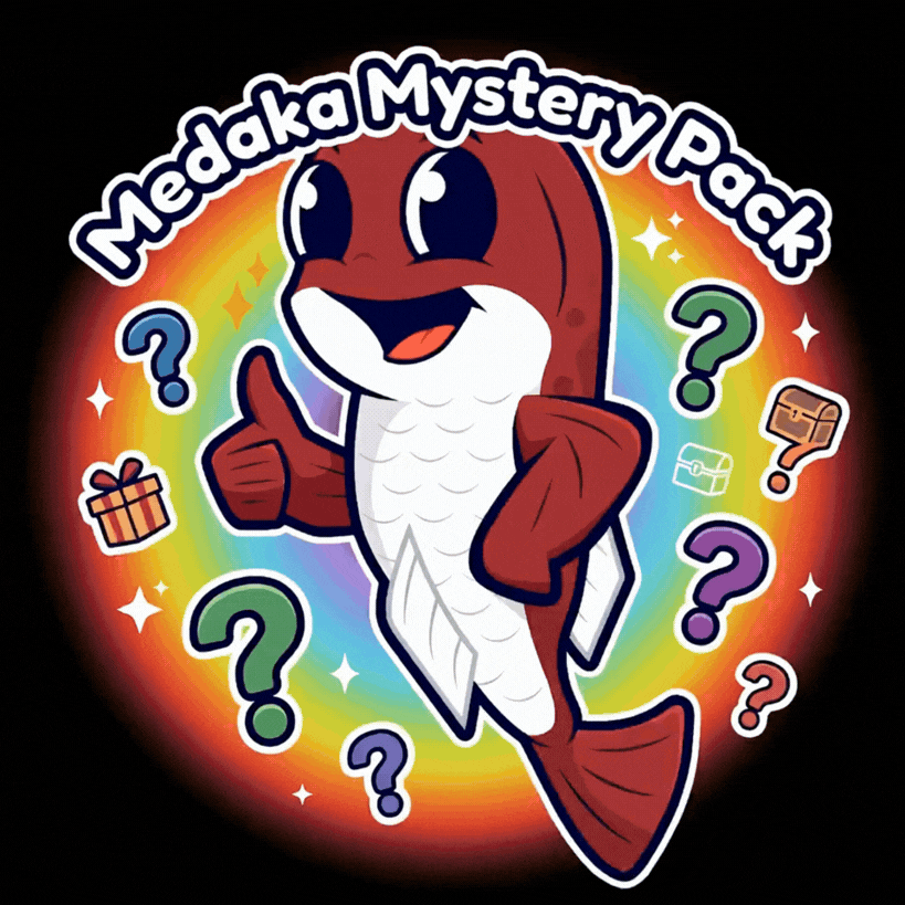 Medaka Mystery Pack – Die bunte Überraschung aus meiner Zucht (12 oder 18 Fische)