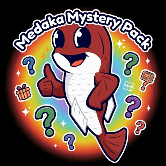 Medaka Mystery Pack – Die bunte Überraschung aus meiner Zucht (12 oder 18 Fische)