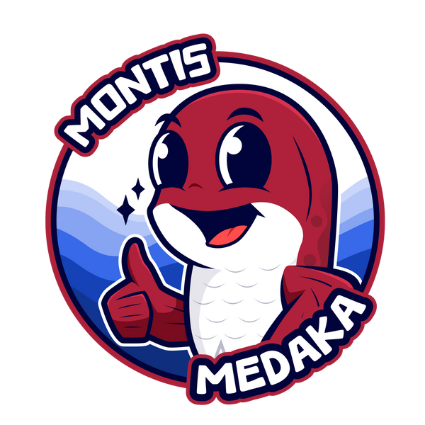 Montis Medaka